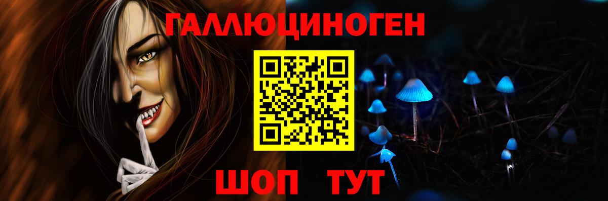 Псилоцибиновые грибы Psilocybe Сызрань